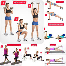 total body circuit workout plan