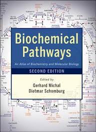 Biochemical Pathways Gerhard Michal 9780470146842