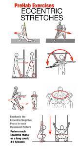 eccentric stretching prehab exercises