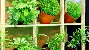 20 Hanging Vegetable Garden Ideas For