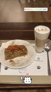 Adrianuzca´s Cat Café - Punta Del Este Restaurant - HappyCow