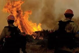 La Finlande subit son plus grand feu de forêt depuis 50 ans - Algerie9.com  - L'essentielle de l'info sur l'Algérie et le Maghreb