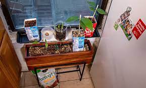 Windowsill Garden