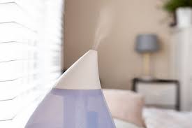 the best place for a humidifier