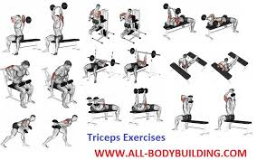 Pin On Arm Workouts