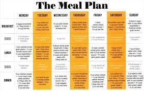 30 day meal plan 9 exles format pdf