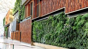 Easy Affordable Living Walls You Can