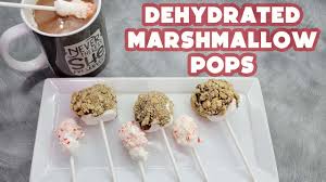 dehydrated marshmallow pops s mores