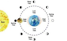 Moon Phase And Tides