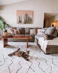 the best rugs for pets everything you