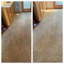 top 10 best natural carpet cleaning in