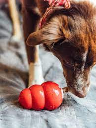 the ultimate kong dog toy recipes guide