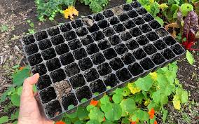 to clean your seed trays before storing