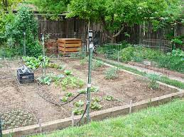 Starting A Vegetable Garden