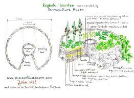 Permaculture Gardening Keyhole Garden