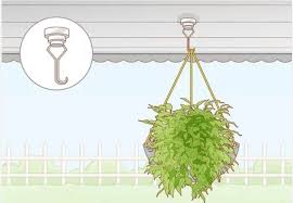 How To Hang Plants Without Holes Update