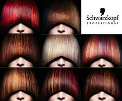 28 Albums Of Igora Hair Colour Shade Card Explore