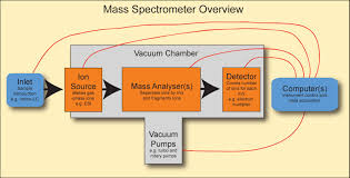 Flow Chart Of Mass Spectrometry Mass Spectrometry