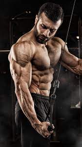 bodybuilding wallpapers for