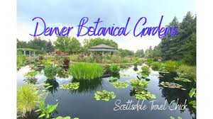 denver botanic gardens how to tour