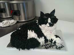 Black And White Cat Cake gambar png