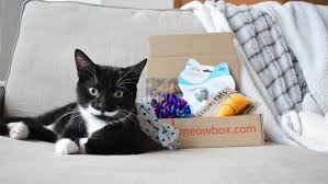 Subscription boxes $15 or less! 9 Subscription Boxes You Need If You Love Cats