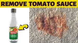 carpet diy tomato stain remover