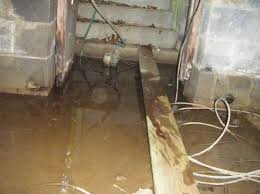 damp basement