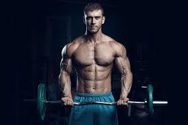 sports bodybuilding muscle