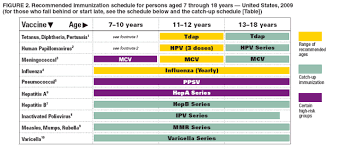 recommended immunization schedules for
