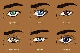 how to apply makeup for your eye shape