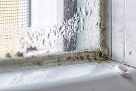 How To Remove Mildew Or Mold On Glass