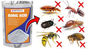 boric acid to eliminate pests