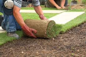 the 10 best sod installation companies