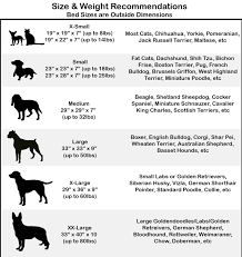 Pet Bed Size Chart Best Picture Of Chart Anyimage Org