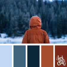 25 winter color palettes inspiring