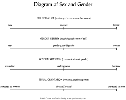 Gender Vs Sex Difference And Comparison Diffen