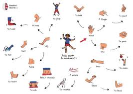 See more ideas about body movement, graphic score, movement. Human Body Parts And Movements By Tom And Suzi Tpt