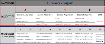 Periodization Is Preparation For Fitness Success Infofit