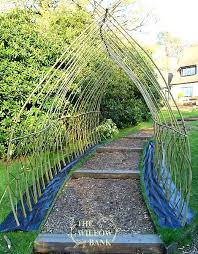 Willow Arch The Willow Bank