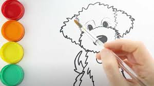 Kip is vet checked, and up to date on vaccines and. How To Draw A Goldendoodle Step By Step
