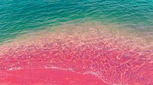 np20-sea-water-beach-summer-nature-pink ...