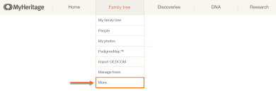 How Do I Create A Chart Of My Family Tree On My Online