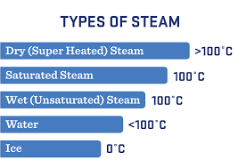 industrial steam generation
