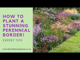 Create An Outstanding Perennial Border