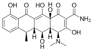 Doxycycline Wikipedia