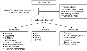 flow chart of pain evaluation tka
