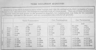 Nouns Adjective Declensions Paradigms Latin For Rabbits