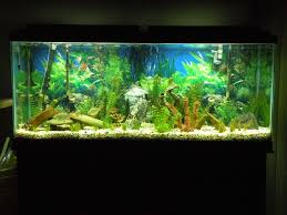 Led Aquarium Moonlights 30 Gallon Fish Tank 10 Gallon