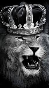 lion king iphone lion crown hd phone